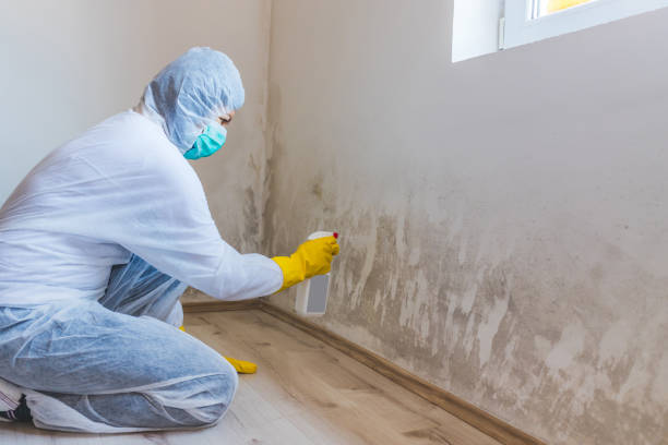 Licensed Crawl Space Mold Removal service in Curwensville, PA - WQB Mold Removal