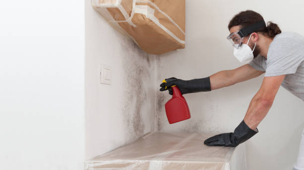 Professional Crawl Space Mold Removal technician working in Curwensville, PA