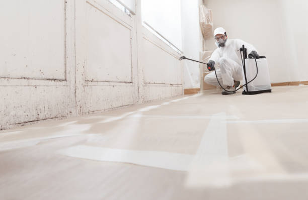 24/7 Emergency Crawl Space Mold Removal experts in Curwensville, PA