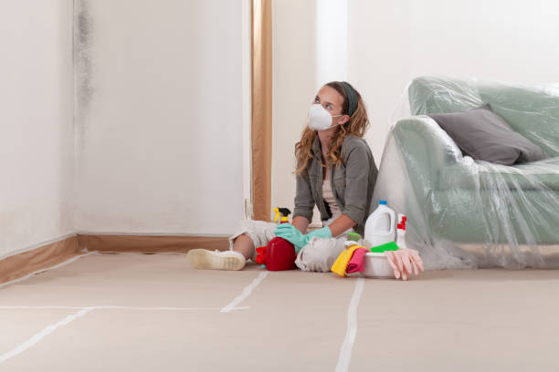 Reliable Crawl Space Mold Removal contractor in Curwensville, PA by WQB Mold Removal